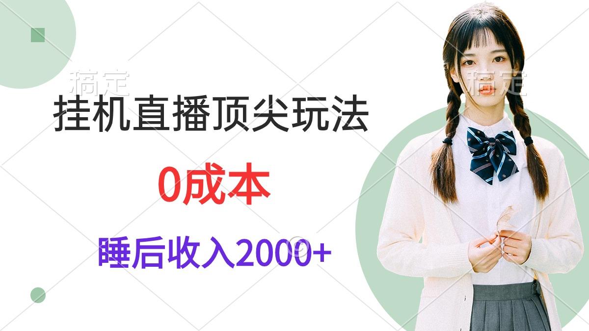 (9715期)挂机直播顶尖玩法，睡后日收入2000+、0成本，视频教学-好客网创