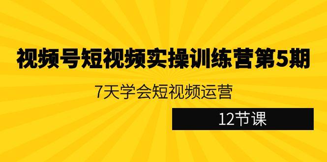 视频号短视频实操训练营第5期：7天学会短视频运营(12节课)-好客网创