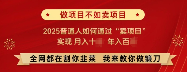 必看，做项目不如卖项目，2025普通人如何通过“卖项目”实现月入十个，年入百个-好客网创