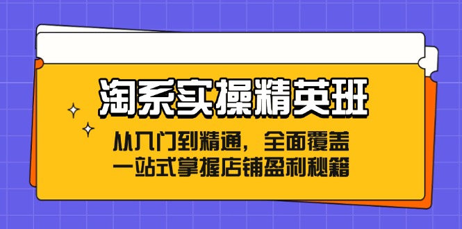 淘系实操精英班：从入门到精通，全面覆盖，一站式掌握店铺盈利秘籍-好客网创