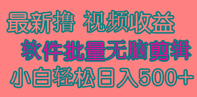 (9569期)发视频撸收益，软件无脑批量剪辑，第一天发第二天就有钱-好客网创