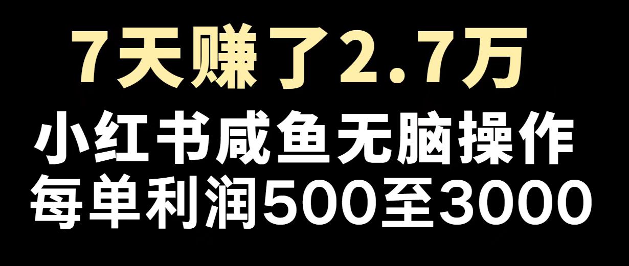 最赚钱项目之一，2025爆火，逆风翻盘！-好客网创