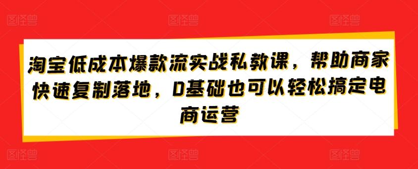淘宝低成本爆款流实战私教课，帮助商家快速复制落地，0基础也可以轻松搞定电商运营-好客网创