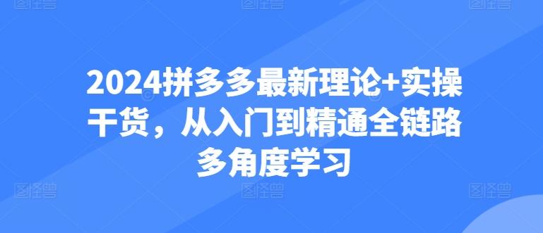 2024拼多多最新理论+实操干货，从入门到精通全链路多角度学习-好客网创