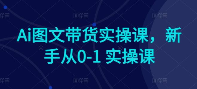 Ai图文带货实操课，新手从0-1 实操课-好客网创