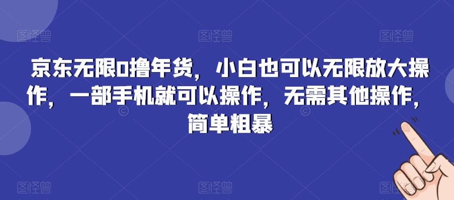 京东无限0撸年货，小白也可以无限放大操作，一部手机就可以操作，无需其他操作，简单粗暴-好客网创
