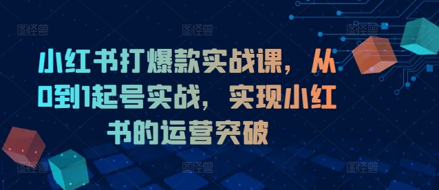 小红书打爆款实战课，从0到1起号实战，实现小红书的运营突破-好客网创