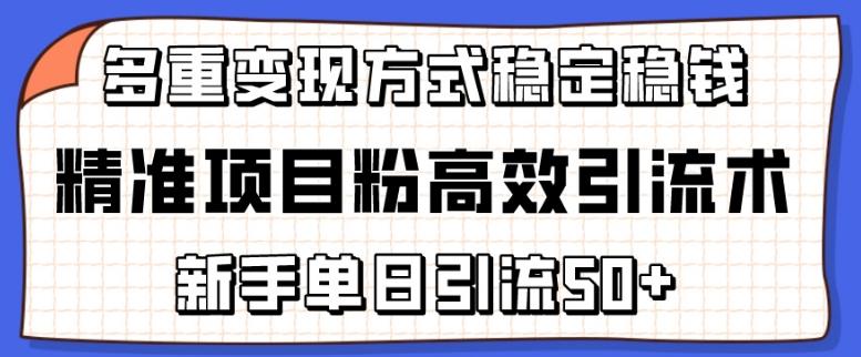 精准项目粉高效引流术，新手单日引流50+，多重变现方式稳定赚钱【揭秘】-好客网创
