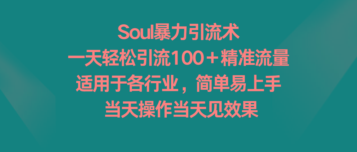 Soul暴力引流术，一天轻松引流100＋精准流量，适用于各行业，简单易上手！-好客网创