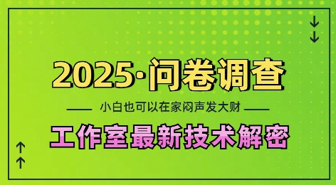 2025问卷调查最新工作室技术解密：一个人在家也可以闷声发大财，小白一天2张，可矩阵放大【揭秘】-好客网创