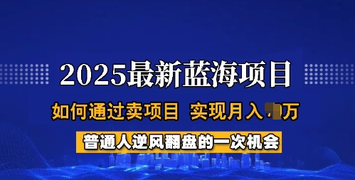 2025蓝海项目，普通人如何通过卖项目，实现月入过W，全过程【揭秘】-好客网创