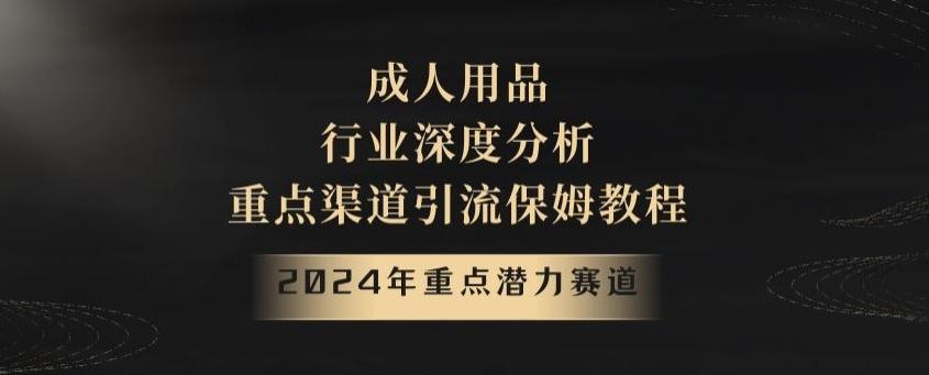 2024年重点潜力赛道，成人用品行业深度分析，重点渠道引流保姆教程【揭秘】-好客网创