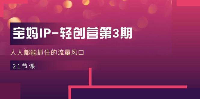 宝妈IP-轻创营第3期，人人都能抓住的流量风口(21节课-好客网创