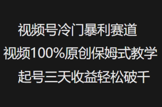 视频号冷门暴利赛道视频100%原创保姆式教学起号三天收益轻松破千-好客网创