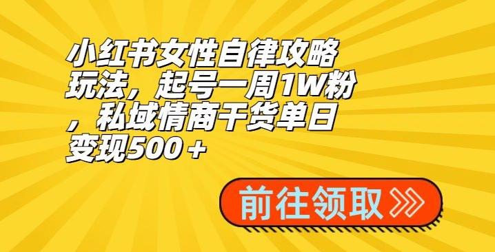小红书女性自律攻略玩法，起号一周1W粉，私域情商干货单日变现500＋-好客网创