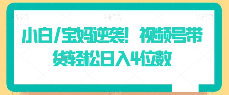 小白/宝妈逆袭！视频号带货轻松日入4位数【揭秘】-好客网创