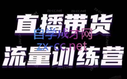 婉婉·直播带货课程系列合集(更新8月)-好客网创