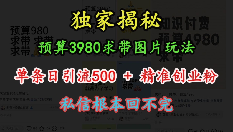 预算3980求带 图片玩法，单条日引流500+精准创业粉，私信根本回不完-好客网创