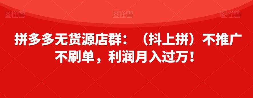拼多多无货源店群：（抖上拼）不推广不刷单，利润月入过万！【揭秘】-好客网创