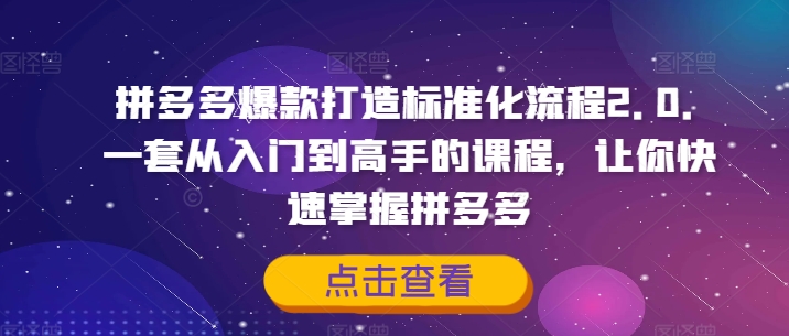 拼多多爆款打造标准化流程2.0，一套从入门到高手的课程，让你快速掌握拼多多-好客网创