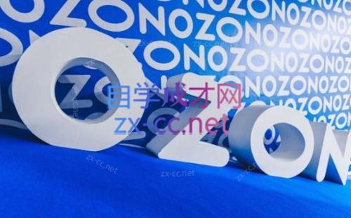 森哥·出海俄罗斯电商实操(2024)-好客网创