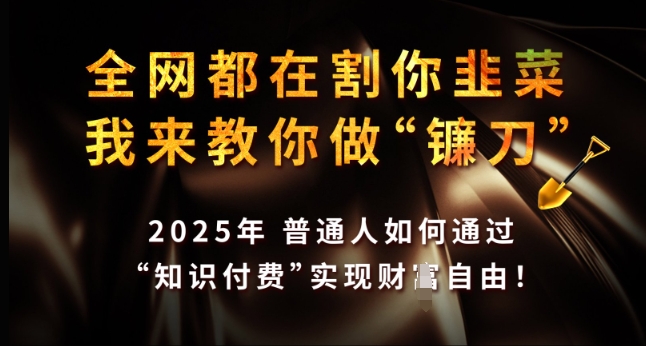 全网都在割你韭菜,我来教你做镰刀,2025年普通人如何通过 知识付费 实现财F自由【揭秘】-好客网创