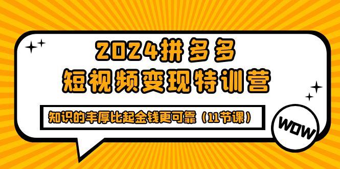 (9817期)2024拼多多短视频变现特训营，知识的丰厚比起金钱更可靠(11节课)-好客网创