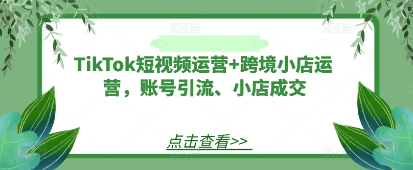 TikTok短视频运营+跨境小店运营，账号引流、小店成交-好客网创