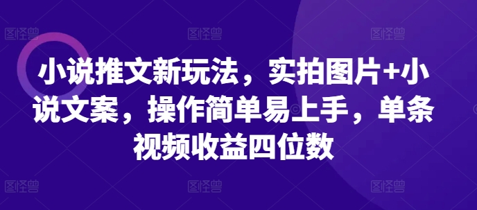 小说推文新玩法，实拍图片+小说文案，操作简单易上手，单条视频收益四位数-好客网创