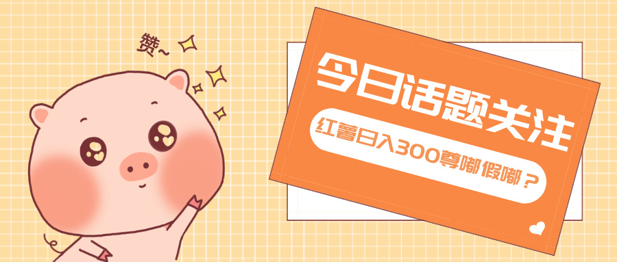 全新红薯浏览，打破常规 双端操作，每天运行6小时，让你获得工作以外的…-好客网创