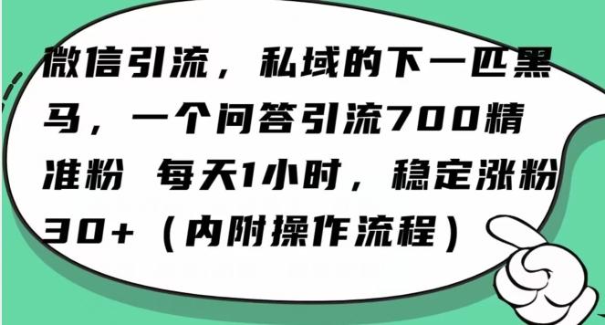 怎么搞精准创业粉?微信新赛道,每天一小时,利用Ai一个问答日引100精准粉-好客网创