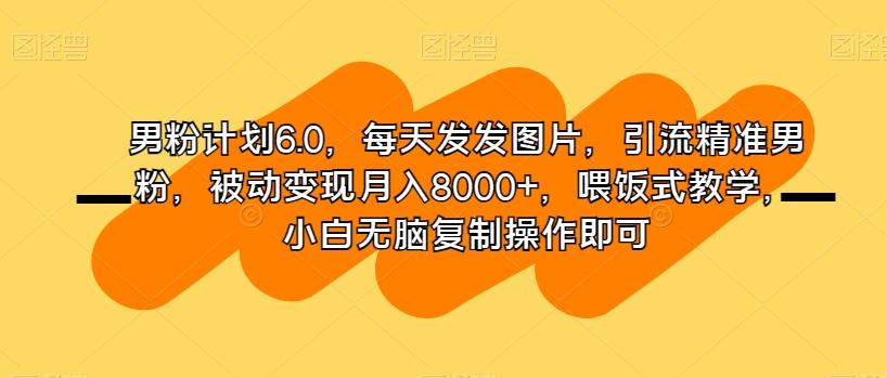 男粉计划6.0，每天发发图片，引流精准男粉，被动变现月入8000+，喂饭式教学，小白无脑复制操作即可-好客网创