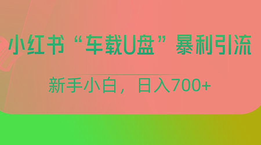 小红书“车载U盘”项目，暴利引流，新手小白轻松日入700+-好客网创