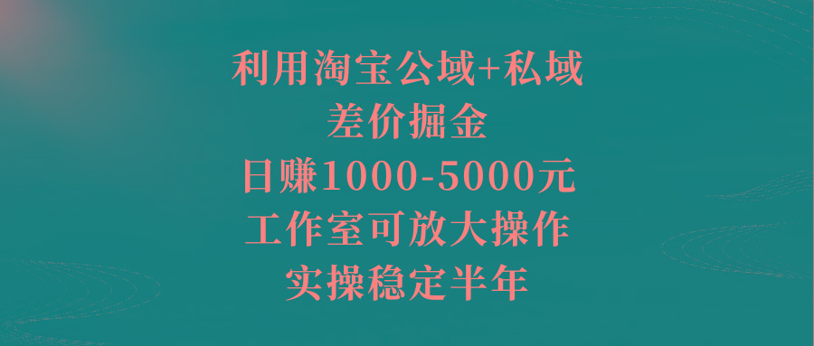 利用淘宝公域+私域差价掘金，日赚1000-5000元，工作室可放大操作，实操...-好客网创