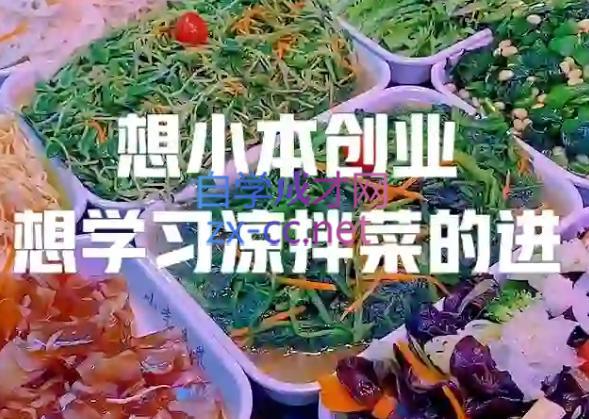 李记·精品凉拌菜系列热卤系列教程-好客网创