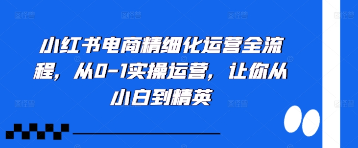 小红书电商精细化运营全流程，从0-1实操运营，让你从小白到精英-好客网创