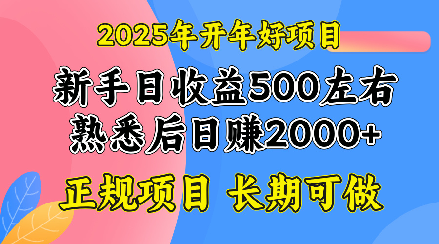 2025开年好项目，单号日收益2000左右-好客网创