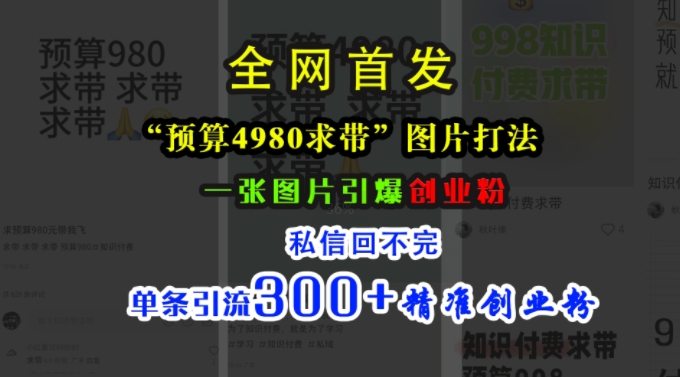 小红书“预算4980带我飞”图片打法,一张图片引爆创业粉,私信回不完,单条引流300+精准创业粉