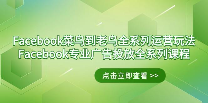 Facebook-菜鸟到老鸟全系列运营玩法+Facebook-专业广告投放全系列课程-好客网创