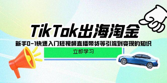 (10035期)TikTok-出海淘金，新手0-1快速入门短视频直播带货等引流到变现的知识-好客网创
