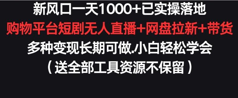 新风口一天1000+已实操落地购物平台短剧无人直播+网盘拉新+带货多种变现长期可做【揭秘】-好客网创