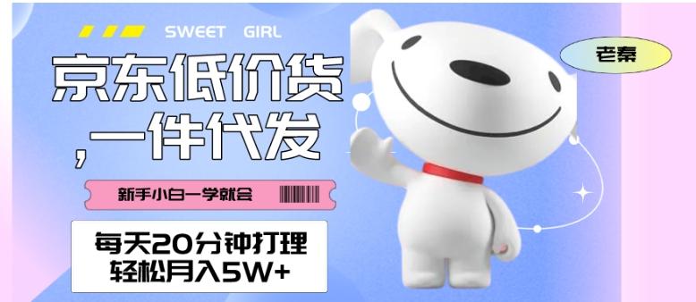 每天20分钟打理京东低价货，一件代发-轻松月入5W＋-好客网创