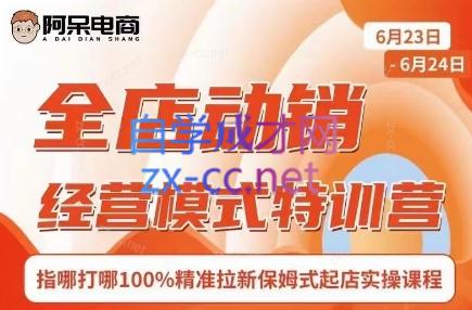 阿呆电商·全店动销经营模式特训营(线下录音+思维导图)-好客网创