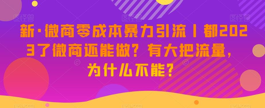 新·微商零成本暴力引流丨都2023了微商还能做?有大把流量,为什么不能?-好客网创