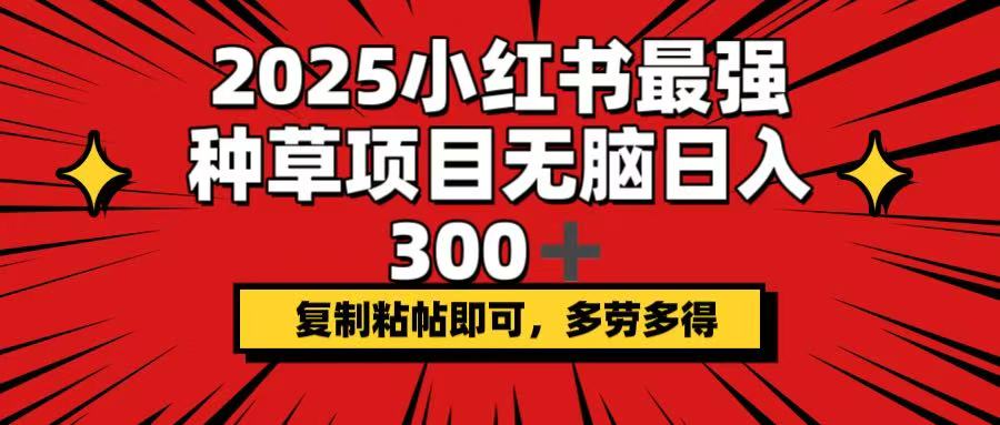 2025小红书最强种草项目，无脑日入300+，复制粘帖即可，多劳多得-好客网创