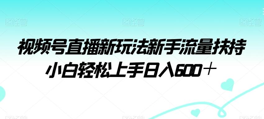视频号直播新玩法新手流量扶持小白轻松上手日入600+【揭秘】-好客网创