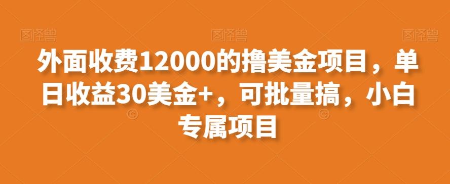 外面收费12000的撸美金项目，单日收益30美金+，可批量搞，小白专属项目-好客网创