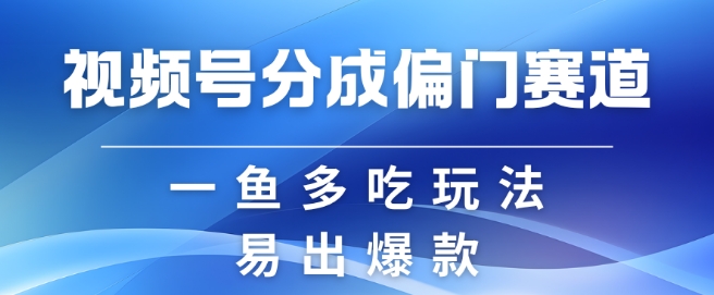 视频号创作者分成计划偏门类目，容易爆流，实拍内容简单易做【揭秘】-好客网创