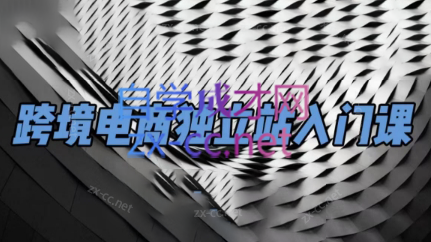 团长·跨境电商独立站入门课(2小时精华)-好客网创