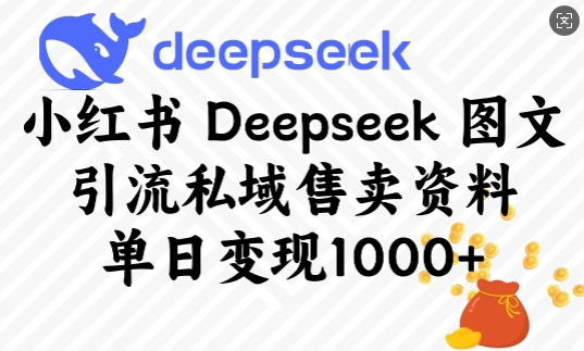 小红书Deepseek图文引流私域售卖资料，单日变现多张-好客网创
